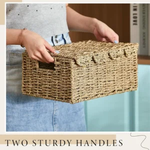 Handcrafted Scalloped Edge Wicker Storage Baskets with Lid and Handles for Home Organization